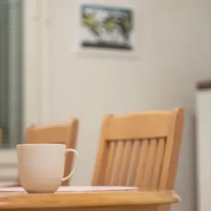 Silla de comedor D